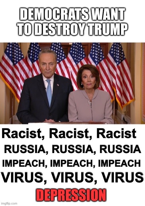 Chuck and Nancy Want to Destroy Trump | image tagged in chuck schumer,nancy pelosi,trump,destroy,america,virus | made w/ Imgflip meme maker