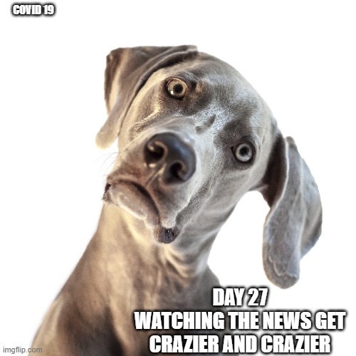 confused dog | COVID 19; DAY 27
WATCHING THE NEWS GET CRAZIER AND CRAZIER | image tagged in confused dog | made w/ Imgflip meme maker