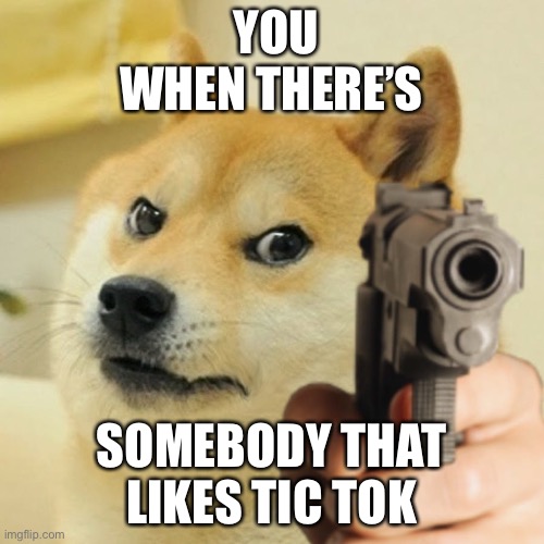 Doge holding a gun | YOU WHEN THERE’S; SOMEBODY THAT LIKES TIC TOK | image tagged in doge holding a gun | made w/ Imgflip meme maker