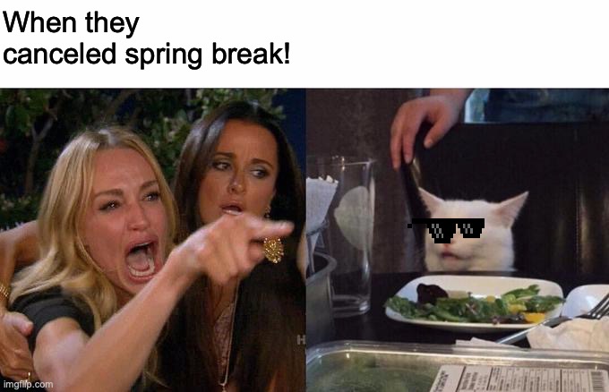 Woman Yelling At Cat | When they canceled spring break! | image tagged in memes,woman yelling at cat | made w/ Imgflip meme maker