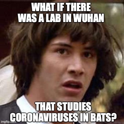 Conspiracy Keanu | WHAT IF THERE WAS A LAB IN WUHAN; THAT STUDIES CORONAVIRUSES IN BATS? | image tagged in memes,conspiracy keanu | made w/ Imgflip meme maker