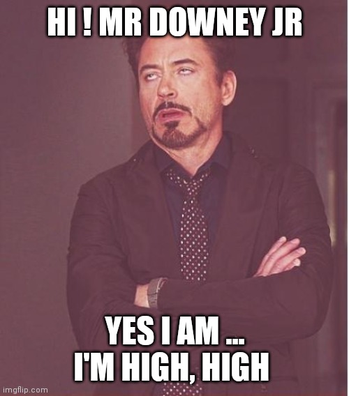Face You Make Robert Downey Jr | HI ! MR DOWNEY JR; YES I AM ... I'M HIGH, HIGH | image tagged in memes,face you make robert downey jr,too damn high | made w/ Imgflip meme maker