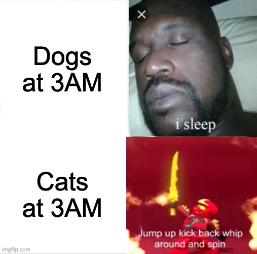 Ninjago week anyone? | Dogs at 3AM; Cats at 3AM | image tagged in memes,sleeping shaq,ninjago | made w/ Imgflip meme maker