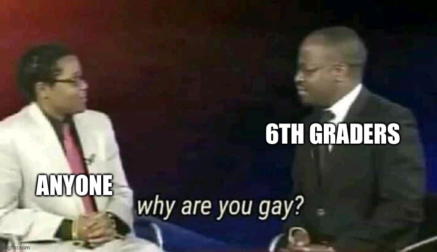 Why are you gay? | 6TH GRADERS; ANYONE | image tagged in why are you gay | made w/ Imgflip meme maker