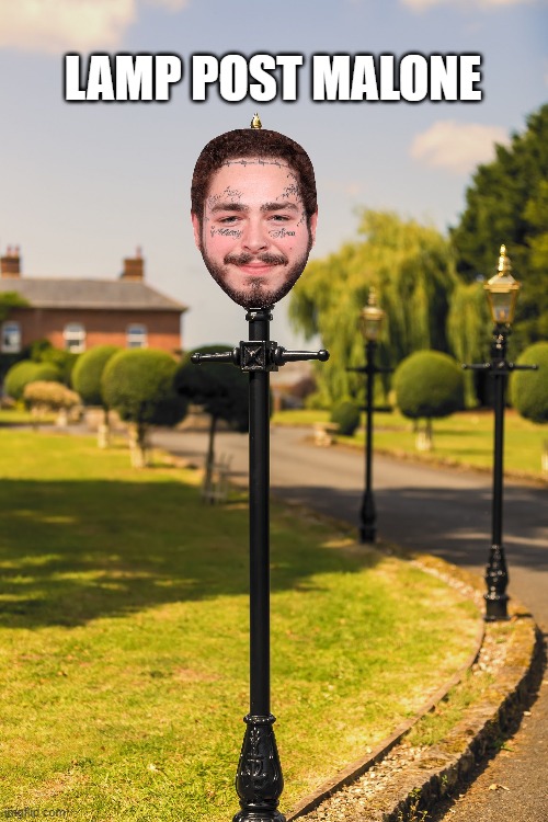 nuff said | LAMP POST MALONE | image tagged in memes,names,post malone,pre malone | made w/ Imgflip meme maker