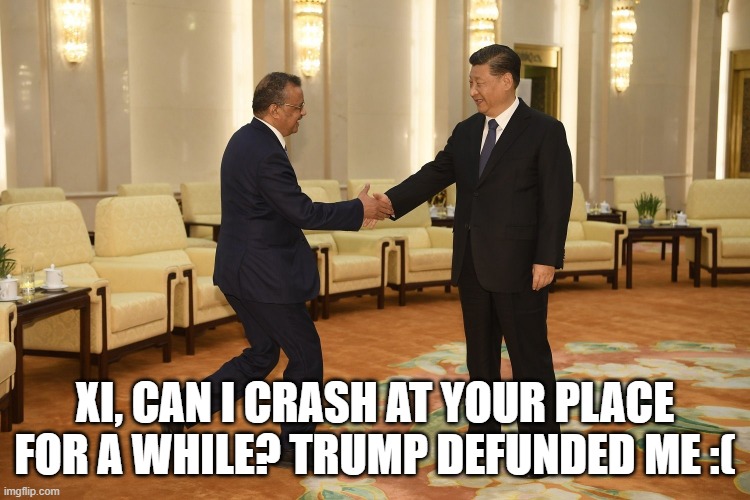 Tedros and Xi | XI, CAN I CRASH AT YOUR PLACE FOR A WHILE? TRUMP DEFUNDED ME :( | image tagged in tedros and xi | made w/ Imgflip meme maker