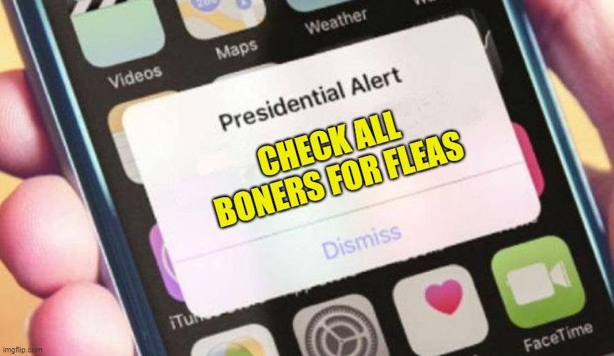 Everyone Quick Check Your Boner To Make Sure It Doesn't Have Fleas | CHECK ALL BONERS FOR FLEAS | image tagged in memes,presidential alert,boner,boners,fleas,funny memes | made w/ Imgflip meme maker