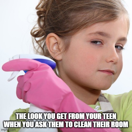 Teen | THE LOOK YOU GET FROM YOUR TEEN WHEN YOU ASK THEM TO CLEAN THEIR ROOM | image tagged in teenagers,chores | made w/ Imgflip meme maker