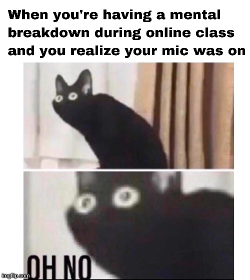 OH NO | image tagged in oh no,cat oh no,quarantine,cat | made w/ Imgflip meme maker