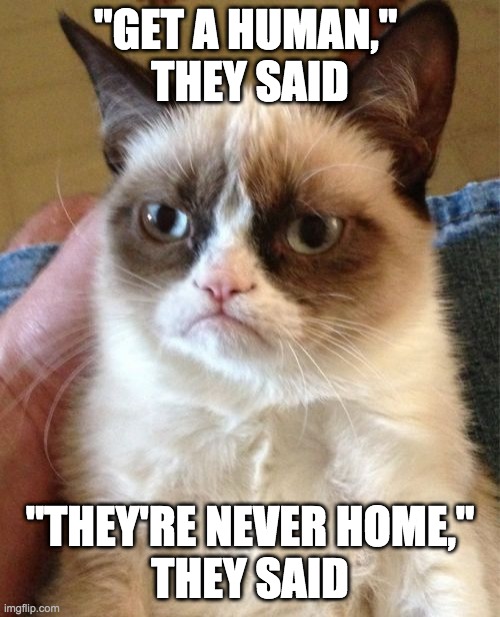 Grumpy Cat hates quarantine | "GET A HUMAN," 
THEY SAID; "THEY'RE NEVER HOME,"
THEY SAID | image tagged in memes,grumpy cat,quarantine,coronavirus,covid-19 | made w/ Imgflip meme maker