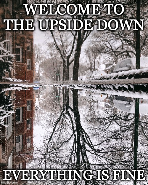Welcome to the updside down | WELCOME TO THE UPSIDE DOWN; EVERYTHING IS FINE | image tagged in chicago,spring,reflection,chicagoinapril | made w/ Imgflip meme maker