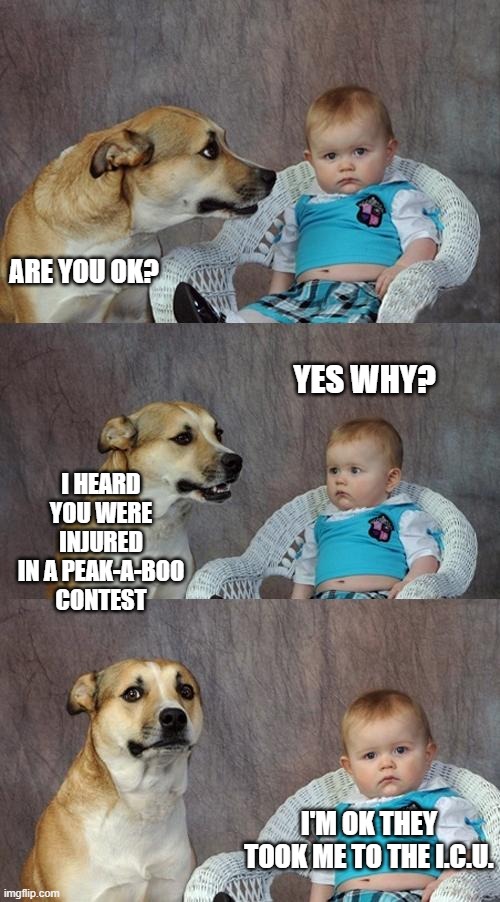 Dad Joke Dog Meme | ARE YOU OK? YES WHY? I HEARD YOU WERE INJURED IN A PEAK-A-BOO CONTEST; I'M OK THEY TOOK ME TO THE I.C.U. | image tagged in memes,dad joke dog | made w/ Imgflip meme maker