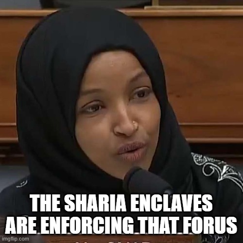 Ilhan Omar | THE SHARIA ENCLAVES ARE ENFORCING THAT FORUS | image tagged in ilhan omar | made w/ Imgflip meme maker