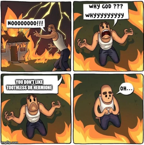 why god | YOU DON'T LIKE TOOTHLESS OR HERMIONE | image tagged in why god | made w/ Imgflip meme maker