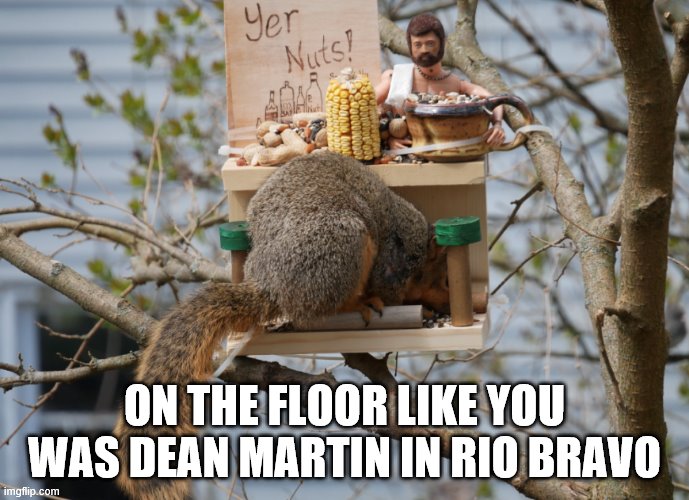 Squirrel | ON THE FLOOR LIKE YOU WAS DEAN MARTIN IN RIO BRAVO | image tagged in reddit | made w/ Imgflip meme maker