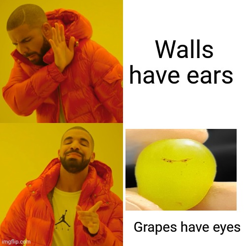 Drake Hotline Bling Meme | Walls have ears; Grapes have eyes | image tagged in memes,drake hotline bling | made w/ Imgflip meme maker