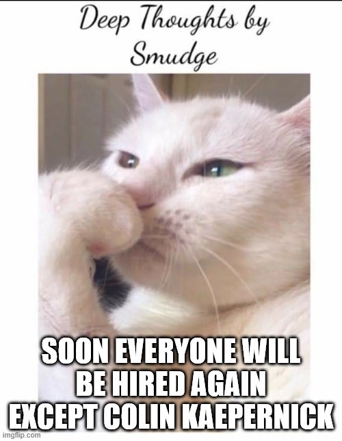 Smudge | SOON EVERYONE WILL BE HIRED AGAIN
EXCEPT COLIN KAEPERNICK | image tagged in smudge | made w/ Imgflip meme maker