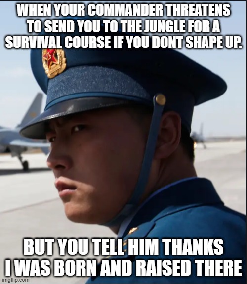 WHEN YOUR COMMANDER THREATENS TO SEND YOU TO THE JUNGLE FOR A SURVIVAL COURSE IF YOU DONT SHAPE UP. BUT YOU TELL HIM THANKS I WAS BORN AND RAISED THERE | image tagged in drill sergeant,chinese solider,bootcamp | made w/ Imgflip meme maker