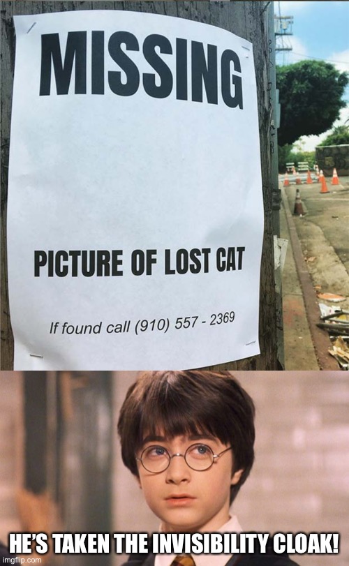 Harry Potter fans will know ;) | HE’S TAKEN THE INVISIBILITY CLOAK! | image tagged in memes,funny,funny memes,harry potter | made w/ Imgflip meme maker