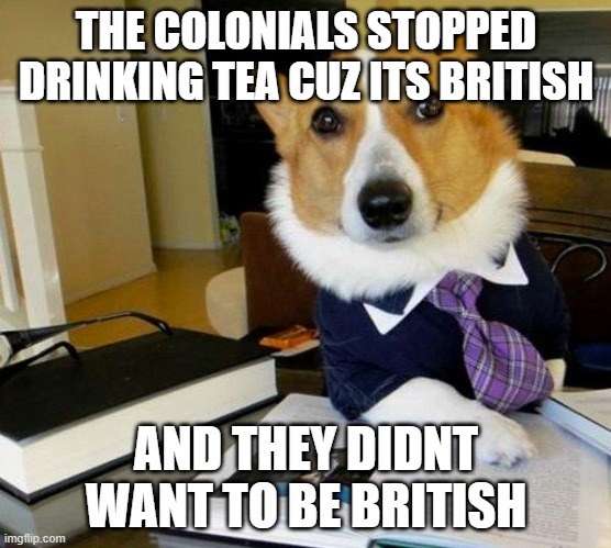 Lawyer dog | THE COLONIALS STOPPED DRINKING TEA CUZ ITS BRITISH; AND THEY DIDNT WANT TO BE BRITISH | image tagged in lawyer dog | made w/ Imgflip meme maker