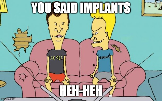 Beavis and Butthead | YOU SAID IMPLANTS; HEH-HEH | image tagged in beavis and butthead | made w/ Imgflip meme maker