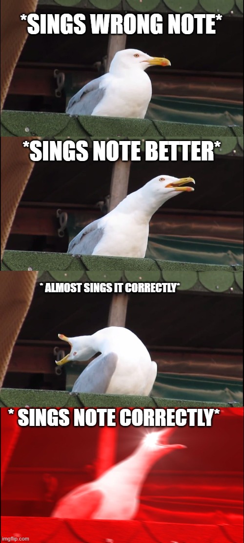 Inhaling Seagull Meme | *SINGS WRONG NOTE*; *SINGS NOTE BETTER*; * ALMOST SINGS IT CORRECTLY*; * SINGS NOTE CORRECTLY* | image tagged in memes,inhaling seagull | made w/ Imgflip meme maker