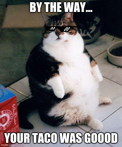fat cat | BY THE WAY... YOUR TACO WAS GOOOD | image tagged in fat cat | made w/ Imgflip meme maker