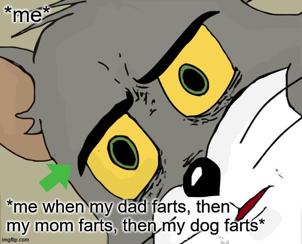 Unsettled Tom Meme | *me*; *me when my dad farts, then my mom farts, then my dog farts* | image tagged in memes,unsettled tom | made w/ Imgflip meme maker
