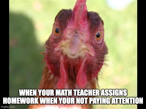 mad and surprised chicken | WHEN YOUR MATH TEACHER ASSIGNS HOMEWORK WHEN YOUR NOT PAYING ATTENTION | image tagged in mad,chicken,school,homework | made w/ Imgflip meme maker