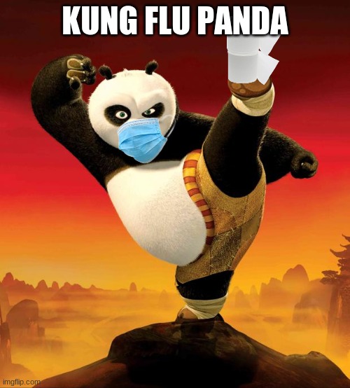 kung fu panda | KUNG FLU PANDA | image tagged in kung fu panda | made w/ Imgflip meme maker