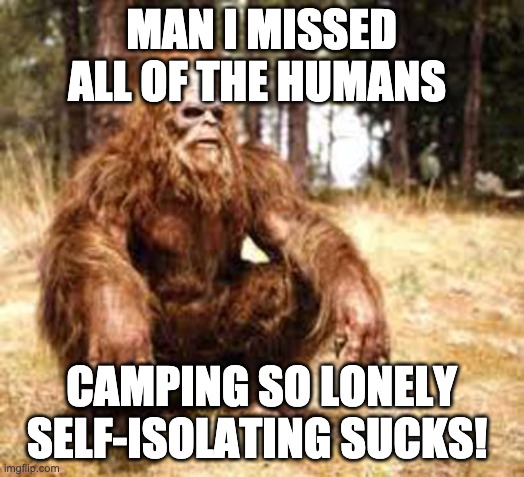 bigfoot | MAN I MISSED ALL OF THE HUMANS; CAMPING SO LONELY SELF-ISOLATING SUCKS! | image tagged in bigfoot | made w/ Imgflip meme maker