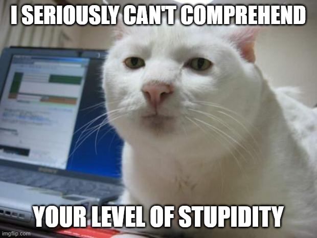 serious cat | I SERIOUSLY CAN'T COMPREHEND; YOUR LEVEL OF STUPIDITY | image tagged in serious cat | made w/ Imgflip meme maker