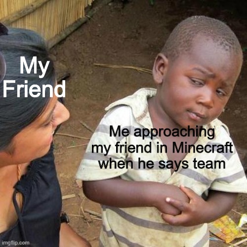 Third World Skeptical Kid | My Friend; Me approaching my friend in Minecraft when he says team | image tagged in memes,third world skeptical kid | made w/ Imgflip meme maker