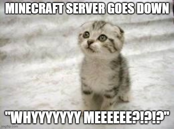 Sad Cat | MINECRAFT SERVER GOES DOWN; "WHYYYYYYY MEEEEEE?!?!?" | image tagged in memes,sad cat | made w/ Imgflip meme maker