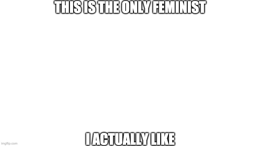 Feminists and their BS | THIS IS THE ONLY FEMINIST; I ACTUALLY LIKE | image tagged in feminist | made w/ Imgflip meme maker