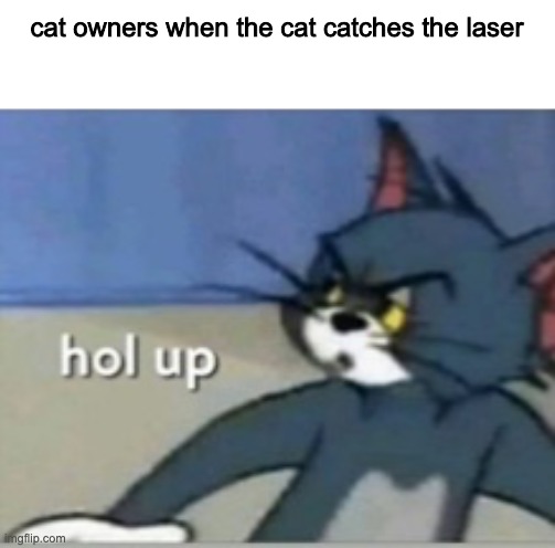 Hol up | cat owners when the cat catches the laser | image tagged in hol up,memes | made w/ Imgflip meme maker