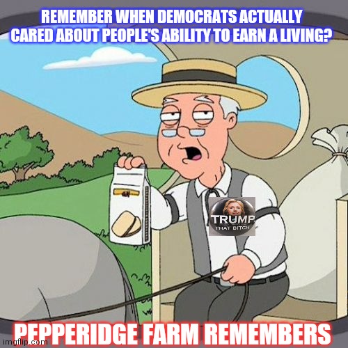 Clown-World Dems | REMEMBER WHEN DEMOCRATS ACTUALLY CARED ABOUT PEOPLE'S ABILITY TO EARN A LIVING? PEPPERIDGE FARM REMEMBERS | image tagged in memes,pepperidge farm remembers,democratic socialism,sucks,stupid liberals,suck | made w/ Imgflip meme maker