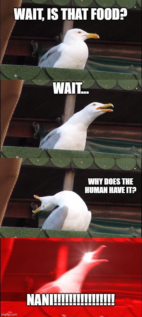 Inhaling Seagull | WAIT, IS THAT FOOD? WAIT... WHY DOES THE HUMAN HAVE IT? NANI!!!!!!!!!!!!!!!! | image tagged in memes,inhaling seagull | made w/ Imgflip meme maker