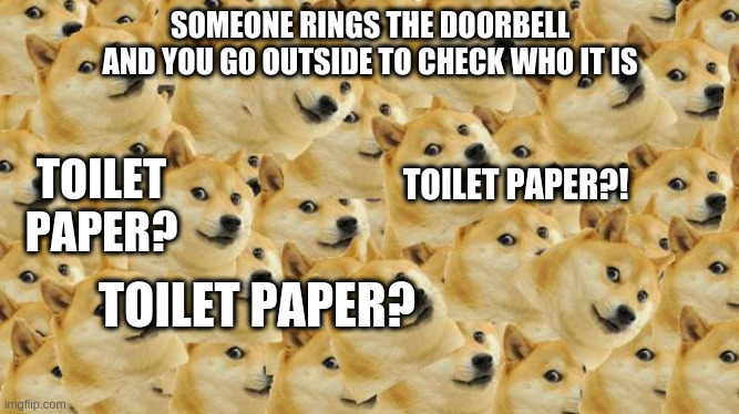 Multi Doge Meme | SOMEONE RINGS THE DOORBELL AND YOU GO OUTSIDE TO CHECK WHO IT IS; TOILET PAPER?! TOILET PAPER? TOILET PAPER? | image tagged in memes,multi doge | made w/ Imgflip meme maker