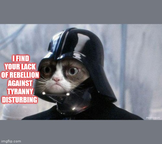 Darth Grumpy disapproves | I FIND YOUR LACK OF REBELLION AGAINST TYRANNY DISTURBING | image tagged in memes,grumpy cat star wars,grumpy cat,political correctness,human stupidity | made w/ Imgflip meme maker