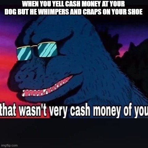 That wasnt very cash money of you | WHEN YOU YELL CASH MONEY AT YOUR DOG BUT HE WHIMPERS AND CRAPS ON YOUR SHOE | image tagged in that wasnt very cash money of you | made w/ Imgflip meme maker