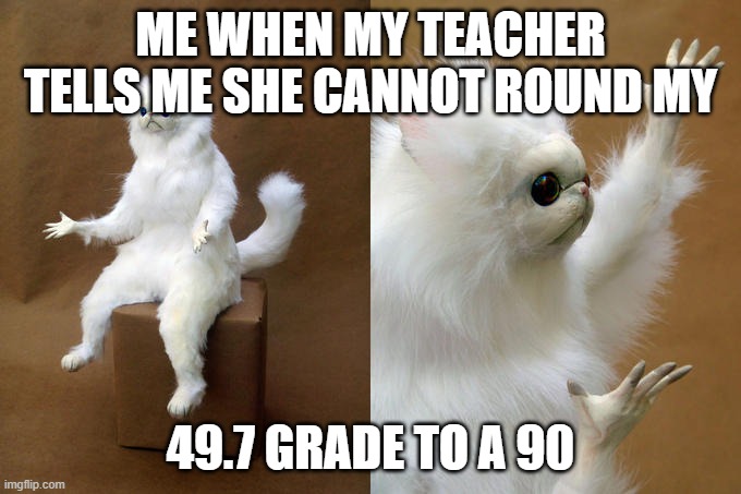 Persian Cat Room Guardian | ME WHEN MY TEACHER TELLS ME SHE CANNOT ROUND MY; 49.7 GRADE TO A 90 | image tagged in memes,persian cat room guardian | made w/ Imgflip meme maker