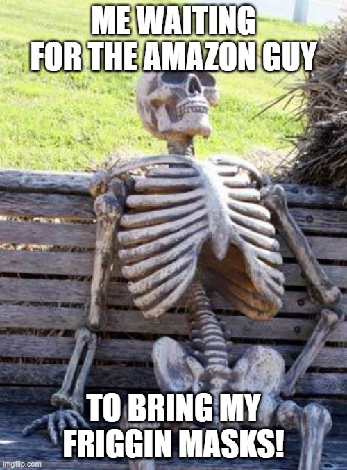Waiting Skeleton | ME WAITING FOR THE AMAZON GUY; TO BRING MY FRIGGIN MASKS! | image tagged in memes,waiting skeleton | made w/ Imgflip meme maker