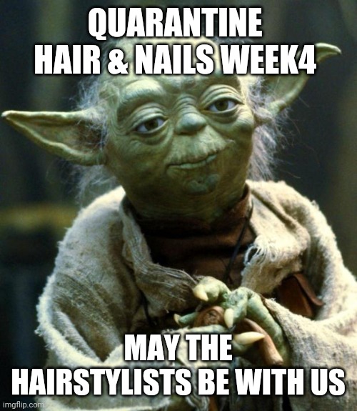 Star Wars Yoda Meme | QUARANTINE  HAIR & NAILS WEEK4; MAY THE HAIRSTYLISTS BE WITH US | image tagged in memes,star wars yoda | made w/ Imgflip meme maker