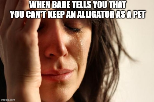 First World Problems | WHEN BABE TELLS YOU THAT YOU CAN'T KEEP AN ALLIGATOR AS A PET | image tagged in memes,first world problems | made w/ Imgflip meme maker