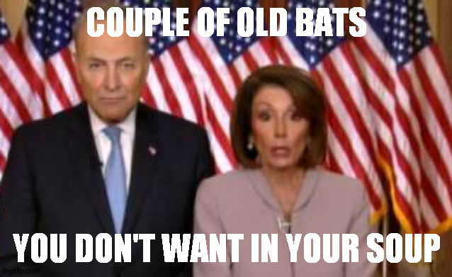 COUPLE OF OLD BATS; YOU DON'T WANT IN YOUR SOUP | image tagged in it's what's for dinner | made w/ Imgflip meme maker