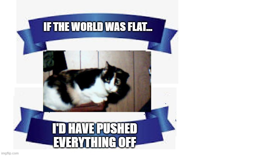 table cleaner | IF THE WORLD WAS FLAT... I'D HAVE PUSHED EVERYTHING OFF | image tagged in pet humor,flat earth debunk,humor | made w/ Imgflip meme maker