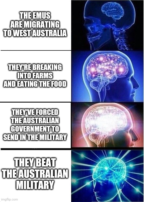 Great emu war | THE EMUS ARE MIGRATING TO WEST AUSTRALIA; THEY'RE BREAKING INTO FARMS AND EATING THE FOOD; THEY'VE FORCED THE AUSTRALIAN GOVERNMENT TO SEND IN THE MILITARY; THEY BEAT THE AUSTRALIAN MILITARY | image tagged in memes,expanding brain,australia,emu,history | made w/ Imgflip meme maker