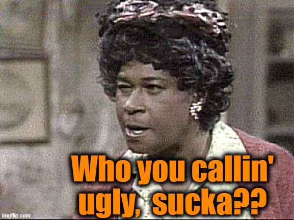 Aunt Ester Lectures | Who you callin' ugly,  sucka?? | image tagged in aunt ester lectures | made w/ Imgflip meme maker