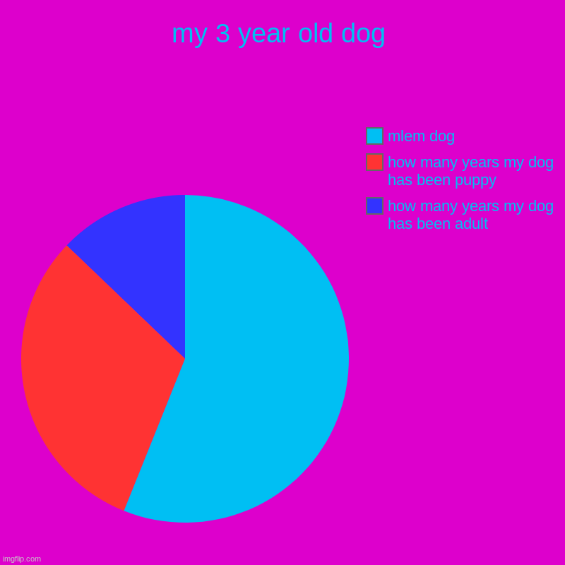 mi doggo | my 3 year old dog | how many years my dog has been adult, how many years my dog has been puppy, mlem dog | image tagged in charts,pie charts | made w/ Imgflip chart maker